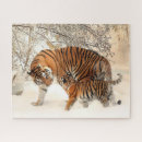 Search for tiger puzzles Nature
