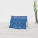 Search for killer whales cards Wildlife
