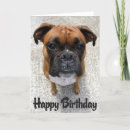 Search for pups cards Puppy