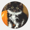 Search for black and white cat stickers Spooky