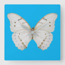 Search for nowruz gifts Persian new year