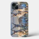 Search for herds cases Danita delimont