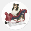Search for shetland sheepdog stickers Pets