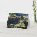 Search for saltwater cards Sea