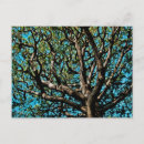 Search for abstract surreal postcards Nature