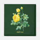 Search for rosebud magnets Flowers