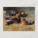 Search for dachshund puppy postcards Dachshunds