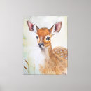 Search for bambi art Wildlife