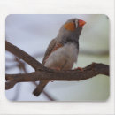 Search for finch mouse mats Cute