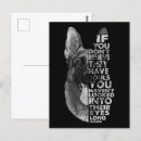 Search for german shepherds postcards German shepherd dog