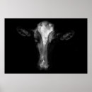 Search for holstein dairy cow posters Agriculture
