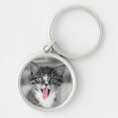 Search for selected rounded key rings Kitten
