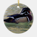 Search for wood duck christmas tree decorations Wildlife