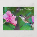 Search for ruby throated hummingbird cards Green