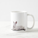 Search for rabbit rescue mugs Animal