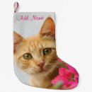 Search for kitten christmas stockings Kitty
