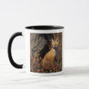 Search for vulpes vulpes mugs Red fox