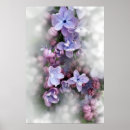 Search for lilac posters Purple