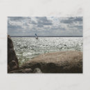 Search for windsurfing postcards Sport