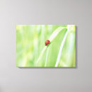 Search for selective focus art Green