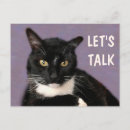 Search for black cat postcards Funny