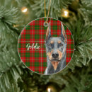 Search for red doberman christmas tree decorations Pinscher