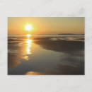 Search for sanctuary postcards Beach