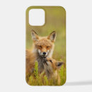Search for red fox iphone cases Foxes