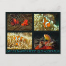 Search for scuba postcards Coral