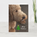 Search for airedale christmas cards Pet