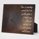 Search for gentleness photography Horse