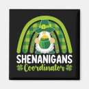 Search for coordinator magnets Patricks