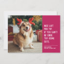Search for comical christmas cards Dog