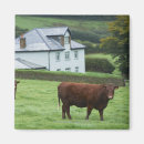 Search for devon magnets Outdoors