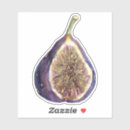 Search for fig stickers Plant