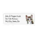Search for tabby cat labels Animal