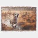 Search for labrador blankets Autumn