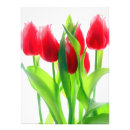 Search for april posters Tulips