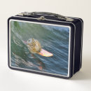 Search for surfing lunch boxes Cute