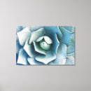 Search for abstract desert art Agave