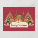 Search for tree face horizontal postcards Squirrel