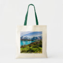 Search for fitzroy accessories Ice