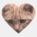 Search for heart shaped cat stickers Kitty