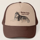 Search for siberian huskies hats Husky