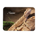 Search for australian rectangular magnets Animal