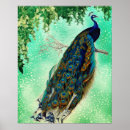Search for blue peacock bird posters Beautiful