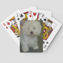 Search for furry playing cards Puppy