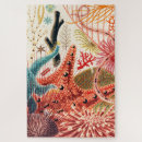 Search for barrier reef puzzles Ocean