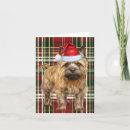 Search for cairn terrier christmas cards Pets