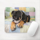 Search for looking old mouse mats Front view